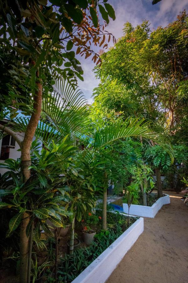Comfort Beach Hotel Arugam Kudah Eksteriør bilde